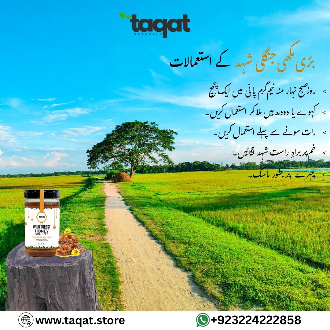 Pure Wild Forest Honey Big Bee / جنگلی شہد بڑی مکھی