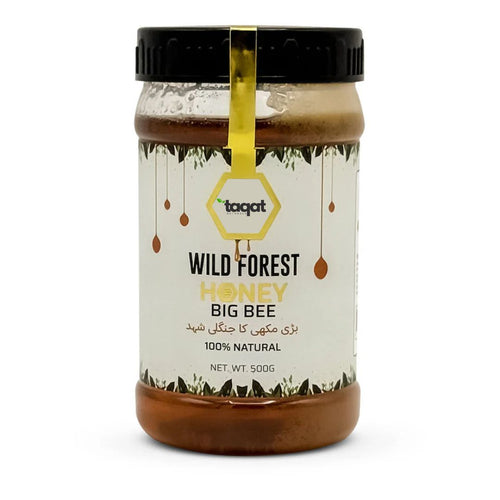 Pure Wild Forest Honey Big Bee / جنگلی شہد  بڑی مکھی