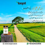 Pure Wild Forest Honey Big Bee / جنگلی شہد  بڑی مکھی