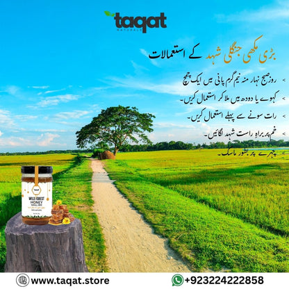 Pure Wild Forest Honey Big Bee / جنگلی شہد  بڑی مکھی