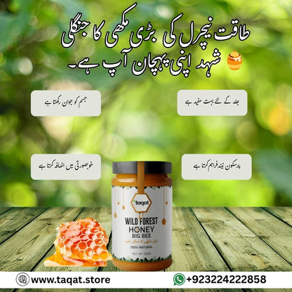 Pure Wild Forest Honey Big Bee / جنگلی شہد  بڑی مکھی